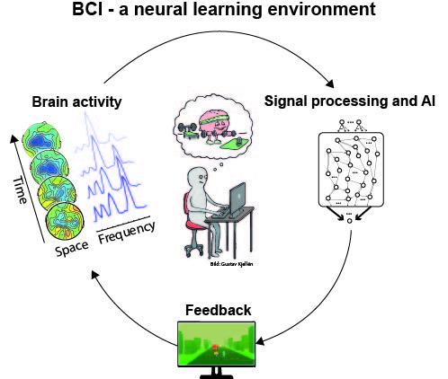 Healthy Brain Image